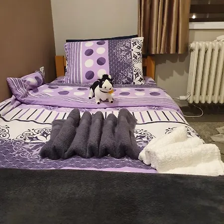 Jasmin 3* Niska Banja