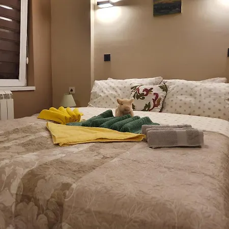Guest house Jasmin Niska Banja